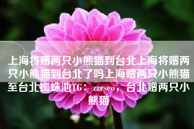 上海将赠两只小熊猫到台北上海将赠两只小熊猫到台北了吗上海赠两只小熊猫至台北蜘蛛池TG：zzcseo，台北赠两只小熊猫