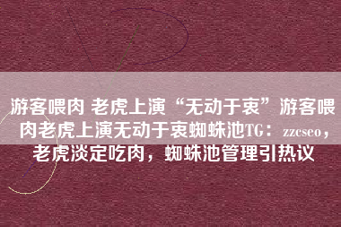 游客喂肉 老虎上演“无动于衷”游客喂肉老虎上演无动于衷蜘蛛池TG：zzcseo，老虎淡定吃肉，蜘蛛池管理引热议