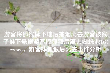 游客将狐猴摔下地后抽烟离去游客被猴子推下悬崖游客摔狐猴后离去蜘蛛池TG：zzcseo，游客摔狐猴后离去事件分析