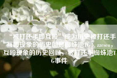 “被打还手即互殴”成为历史被打还手互殴现象的历史回顾蜘蛛池TG：zzcseo，互殴现象的历史回顾，被打还手蜘蛛池TG事件
