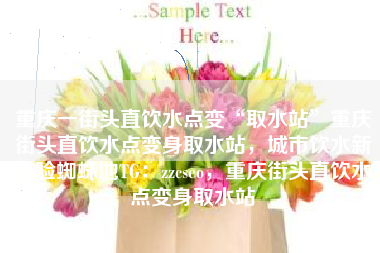重庆一街头直饮水点变“取水站”重庆街头直饮水点变身取水站，城市饮水新体验蜘蛛池TG：zzcseo，重庆街头直饮水点变身取水站