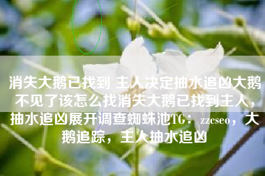 消失大鹅已找到 主人决定抽水追凶大鹅不见了该怎么找消失大鹅已找到主人，抽水追凶展开调查蜘蛛池TG：zzcseo，大鹅追踪，主人抽水追凶