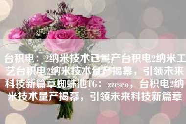 台积电：2纳米技术已量产台积电2纳米工艺台积电2纳米技术量产揭幕，引领未来科技新篇章蜘蛛池TG：zzcseo，台积电2纳米技术量产揭幕，引领未来科技新篇章