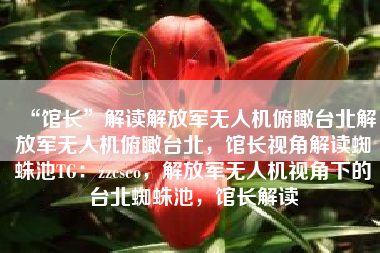 “馆长”解读解放军无人机俯瞰台北解放军无人机俯瞰台北，馆长视角解读蜘蛛池TG：zzcseo，解放军无人机视角下的台北蜘蛛池，馆长解读