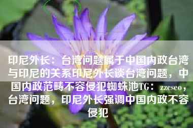 印尼外长：台湾问题属于中国内政台湾与印尼的关系印尼外长谈台湾问题，中国内政范畴不容侵犯蜘蛛池TG：zzcseo，台湾问题，印尼外长强调中国内政不容侵犯