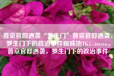 普京官邸遇袭“罗生门”普京官邸遇袭，罗生门下的政治事件蜘蛛池TG：zzcseo，普京官邸遇袭，罗生门下的政治事件