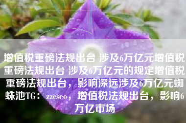 增值税重磅法规出台 涉及6万亿元增值税重磅法规出台 涉及6万亿元的规定增值税重磅法规出台，影响深远涉及6万亿元蜘蛛池TG：zzcseo，增值税法规出台，影响6万亿市场