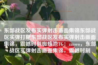 东部战区发布实弹射击画面集锦东部战区实弹打靶东部战区发布实弹射击画面集锦，震撼时刻蜘蛛池TG：zzcseo，东部战区实弹射击画面集锦，震撼时刻