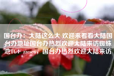 国台办:大陆这么大 欢迎来看看大陆国台办地址国台办热烈欢迎大陆来访蜘蛛池TG:zzcseo,国台办热烈欢迎大陆来访 国台办:大陆这么大 欢迎来看看大陆国台办地址国台办热烈欢迎大陆来访蜘蛛池TG:zzcseo,国台办热烈欢迎大陆来访