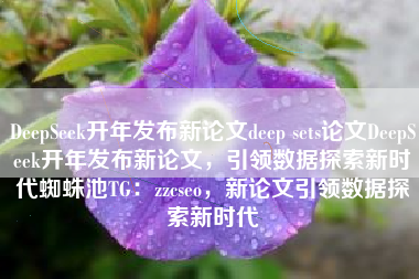 DeepSeek开年发布新论文deep sets论文DeepSeek开年发布新论文，引领数据探索新时代蜘蛛池TG：zzcseo，新论文引领数据探索新时代