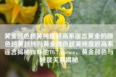 黄金颜色越黄纯度越高系谣言黄金的颜色越黄越纯吗黄金颜色越黄纯度越高系谣言揭秘蜘蛛池TG:zzcseo,黄金颜色与纯度关系揭秘 黄金颜色越黄纯度越高系谣言黄金的颜色越黄越纯吗黄金颜色越黄纯度越高系谣言揭秘蜘蛛池TG:zzcseo,黄金颜色与纯度关系揭秘