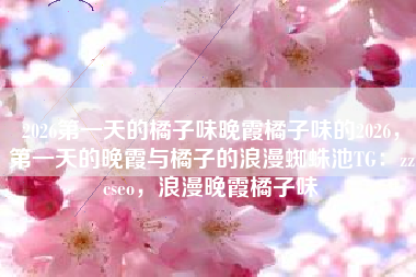 2026第一天的橘子味晚霞橘子味的2026，第一天的晚霞与橘子的浪漫蜘蛛池TG：zzcseo，浪漫晚霞橘子味