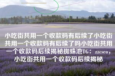 小吃街共用一个收款码有后续了小吃街共用一个收款码有后续了吗小吃街共用一个收款码后续揭秘蜘蛛池TG：zzcseo，小吃街共用一个收款码后续揭秘