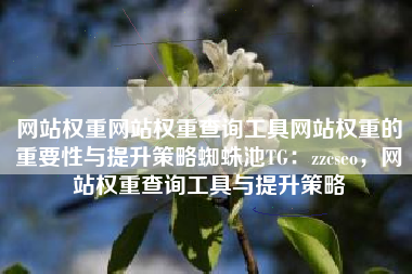 网站权重网站权重查询工具网站权重的重要性与提升策略蜘蛛池TG:zzcseo,网站权重查询工具与提升策略 网站权重网站权重查询工具网站权重的重要性与提升策略蜘蛛池TG:zzcseo,网站权重查询工具与提升策略
