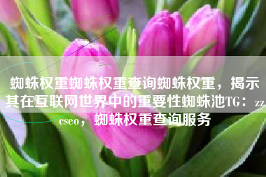 蜘蛛权重蜘蛛权重查询蜘蛛权重，揭示其在互联网世界中的重要性蜘蛛池TG：zzcseo，蜘蛛权重查询服务