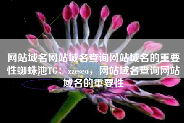网站域名网站域名查询网站域名的重要性蜘蛛池TG:zzcseo,网站域名查询网站域名的重要性 网站域名网站域名查询网站域名的重要性蜘蛛池TG:zzcseo,网站域名查询网站域名的重要性