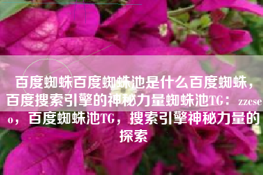 百度蜘蛛百度蜘蛛池是什么百度蜘蛛，百度搜索引擎的神秘力量蜘蛛池TG：zzcseo，百度蜘蛛池TG，搜索引擎神秘力量的探索