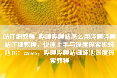 站详细教程_哔哩哔哩站怎么用哔哩哔哩站详细教程，快速上手与深度探索蜘蛛池TG：zzcseo，哔哩哔哩站蜘蛛池深度探索教程