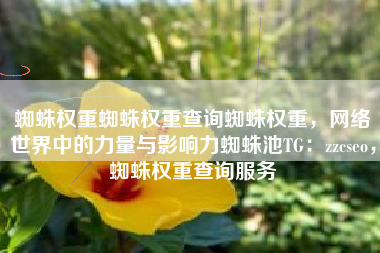 蜘蛛权重蜘蛛权重查询蜘蛛权重，网络世界中的力量与影响力蜘蛛池TG：zzcseo，蜘蛛权重查询服务