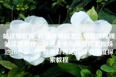 站详细教程_哔哩哔哩站怎么用哔哩哔哩站详细教程，快速上手与深度探索蜘蛛池TG：zzcseo，哔哩哔哩站蜘蛛池深度探索教程