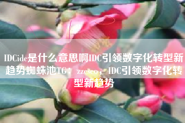 IDCidc是什么意思啊IDC引领数字化转型新趋势蜘蛛池TG:zzcseo,IDC引领数字化转型新趋势 IDCidc是什么意思啊IDC引领数字化转型新趋势蜘蛛池TG:zzcseo,IDC引领数字化转型新趋势
