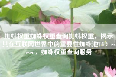 蜘蛛权重蜘蛛权重查询蜘蛛权重，揭示其在互联网世界中的重要性蜘蛛池TG：zzcseo，蜘蛛权重查询服务