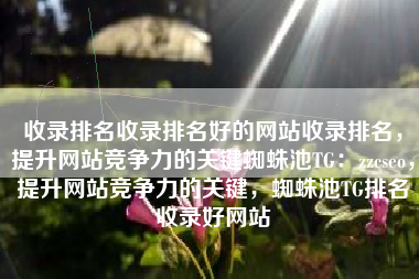 收录排名收录排名好的网站收录排名，提升网站竞争力的关键蜘蛛池TG：zzcseo，提升网站竞争力的关键，蜘蛛池TG排名收录好网站