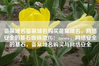 备案域名备案域名购买备案域名，网络安全的基石蜘蛛池TG：zzcseo，网络安全的基石，备案域名购买与网络安全
