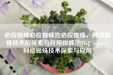 必应蜘蛛必应蜘蛛池必应蜘蛛,网络蜘蛛技术的探索与应用蜘蛛池TG:zzcseo,网络蜘蛛技术探索与应用 必应蜘蛛必应蜘蛛池必应蜘蛛,网络蜘蛛技术的探索与应用蜘蛛池TG:zzcseo,网络蜘蛛技术探索与应用