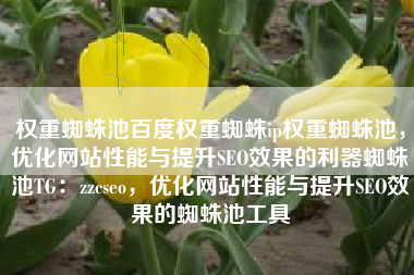 权重蜘蛛池百度权重蜘蛛ip权重蜘蛛池,优化网站性能与提升SEO效果的利器蜘蛛池TG:zzcseo,优化网站性能与提升SEO效果的蜘蛛池工具 权重蜘蛛池百度权重蜘蛛ip权重蜘蛛池,优化网站性能与提升SEO效果的利器蜘蛛池TG:zzcseo,优化网站性能与提升SEO效果的蜘蛛池工具