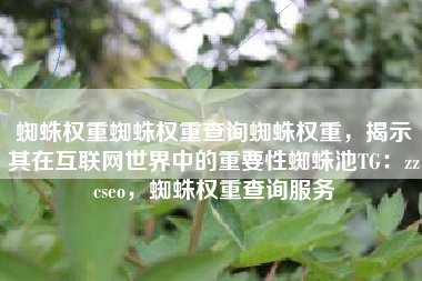 蜘蛛权重蜘蛛权重查询蜘蛛权重，揭示其在互联网世界中的重要性蜘蛛池TG：zzcseo，蜘蛛权重查询服务