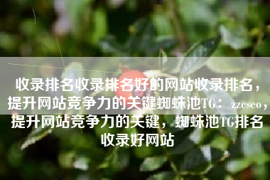 收录排名收录排名好的网站收录排名，提升网站竞争力的关键蜘蛛池TG：zzcseo，提升网站竞争力的关键，蜘蛛池TG排名收录好网站