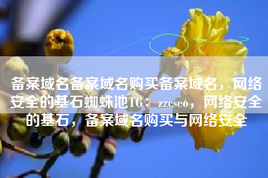 备案域名备案域名购买备案域名，网络安全的基石蜘蛛池TG：zzcseo，网络安全的基石，备案域名购买与网络安全