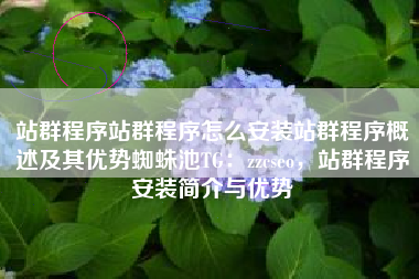站群程序站群程序怎么安装站群程序概述及其优势蜘蛛池TG：zzcseo，站群程序安装简介与优势