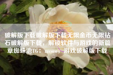 破解版下载破解版下载无限金币无限钻石破解版下载，解锁软件与游戏的新篇章蜘蛛池TG：zzcseo，游戏破解版下载