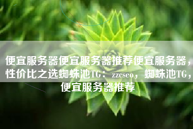 便宜服务器便宜服务器推荐便宜服务器，性价比之选蜘蛛池TG：zzcseo，蜘蛛池TG，便宜服务器推荐