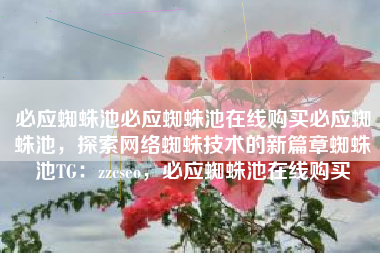 必应蜘蛛池必应蜘蛛池在线购买必应蜘蛛池，探索网络蜘蛛技术的新篇章蜘蛛池TG：zzcseo，必应蜘蛛池在线购买