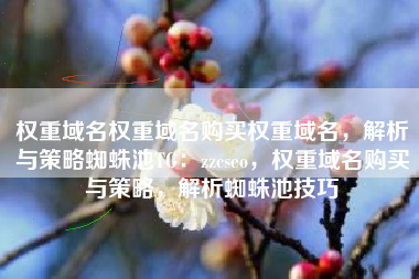 权重域名权重域名购买权重域名，解析与策略蜘蛛池TG：zzcseo，权重域名购买与策略，解析蜘蛛池技巧
