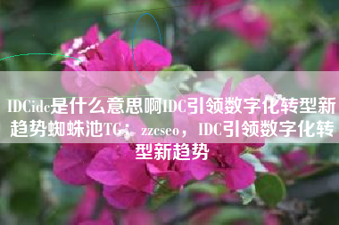 IDCidc是什么意思啊IDC引领数字化转型新趋势蜘蛛池TG:zzcseo,IDC引领数字化转型新趋势 IDCidc是什么意思啊IDC引领数字化转型新趋势蜘蛛池TG:zzcseo,IDC引领数字化转型新趋势