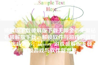 破解版下载破解版下载无限金币无限钻石破解版下载，解锁软件与游戏的新世界蜘蛛池TG：zzcseo，游戏破解版下载，解锁游戏与软件新世界