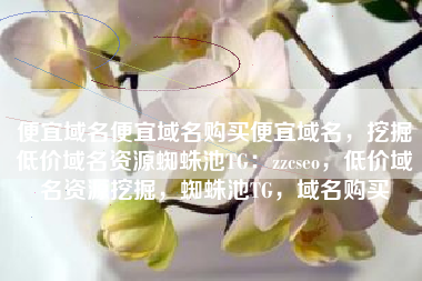 便宜域名便宜域名购买便宜域名，挖掘低价域名资源蜘蛛池TG：zzcseo，低价域名资源挖掘，蜘蛛池TG，域名购买