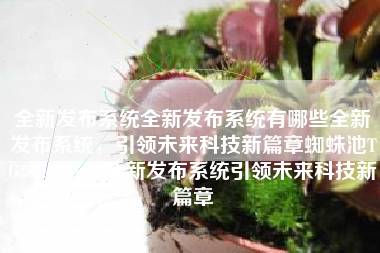 全新发布系统全新发布系统有哪些全新发布系统，引领未来科技新篇章蜘蛛池TG：zzcseo，全新发布系统引领未来科技新篇章
