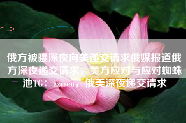 俄方被曝深夜向美递交请求俄媒报道俄方深夜递交请求，美方应对与应对蜘蛛池TG：zzcseo，俄美深夜递交请求