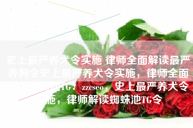 史上最严养犬令实施 律师全面解读最严养狗令史上最严养犬令实施，律师全面解读蜘蛛池TG：zzcseo，史上最严养犬令实施，律师解读蜘蛛池TG令