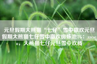 元旦假期大熊猫“七仔”雪中撒欢元旦假期大熊猫七仔雪中撒欢蜘蛛池TG：zzcseo，大熊猫七仔元旦雪中欢腾