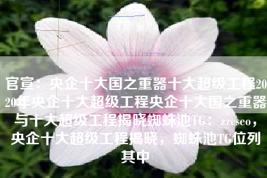 官宣：央企十大国之重器十大超级工程2020年央企十大超级工程央企十大国之重器与十大超级工程揭晓蜘蛛池TG：zzcseo，央企十大超级工程揭晓，蜘蛛池TG位列其中