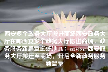 西安多个政务大厅搬进商场西安政务大厅在哪西安多个政务大厅搬进商场，政务服务新篇章蜘蛛池TG：zzcseo，西安政务大厅搬迁至商场，开启全新政务服务新篇章