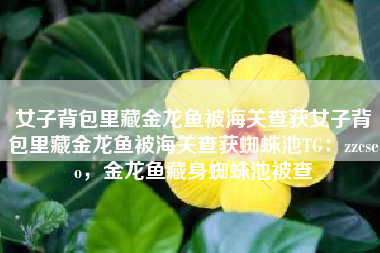 女子背包里藏金龙鱼被海关查获女子背包里藏金龙鱼被海关查获蜘蛛池TG：zzcseo，金龙鱼藏身蜘蛛池被查