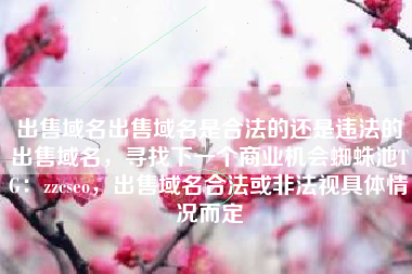 出售域名出售域名是合法的还是违法的出售域名，寻找下一个商业机会蜘蛛池TG：zzcseo，出售域名合法或非法视具体情况而定