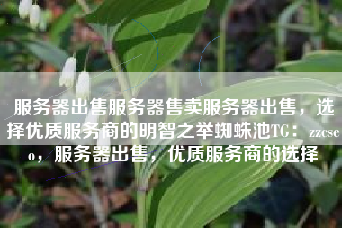 服务器出售服务器售卖服务器出售，选择优质服务商的明智之举蜘蛛池TG：zzcseo，服务器出售，优质服务商的选择